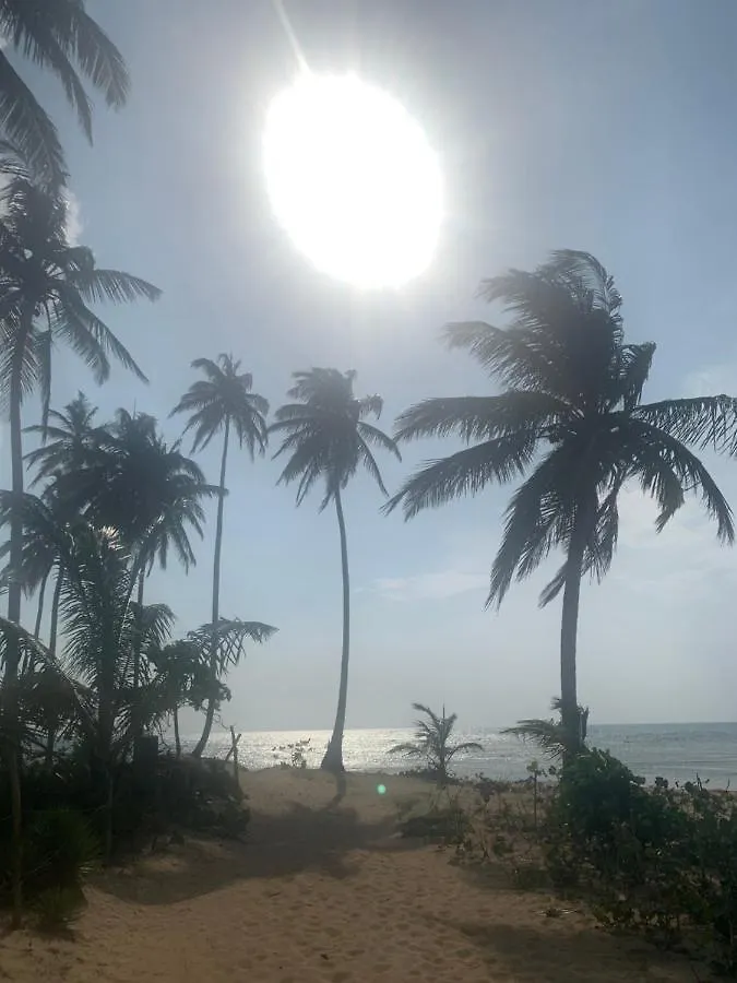 Caribbean Domicile Lejlighed Las Terrenas