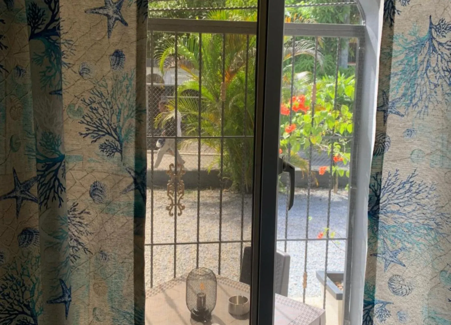 Caribbean Domicile Lejlighed Las Terrenas