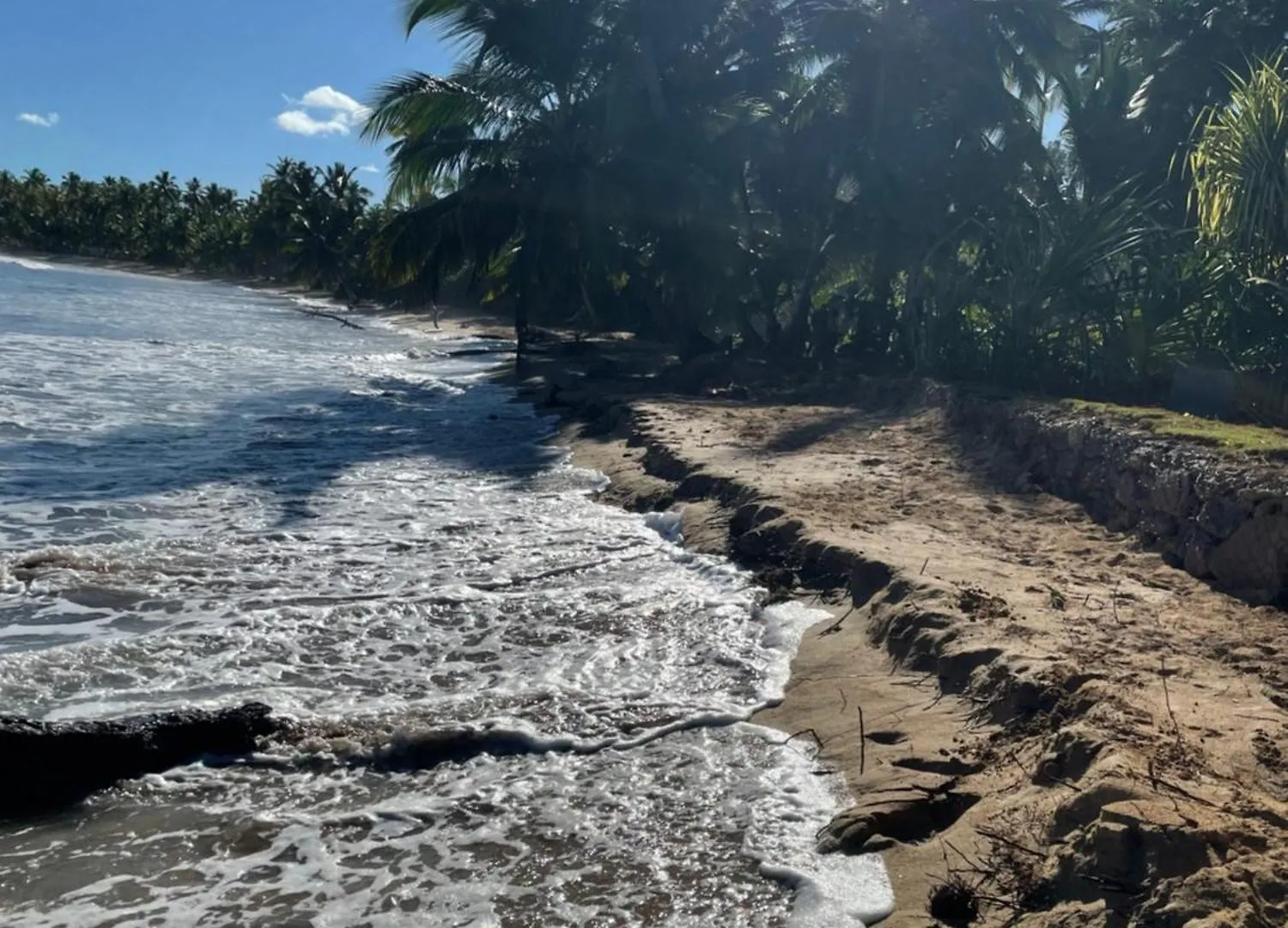 Caribbean Domicile Lejlighed Las Terrenas