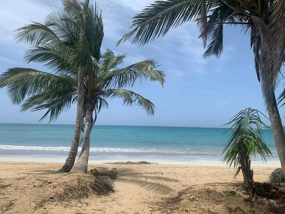 拉斯特拉纳斯Caribbean Domicile公寓 0*, 拉斯特拉纳斯 多米尼加共和国